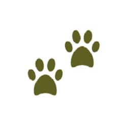 Illiana Boarding & Grooming