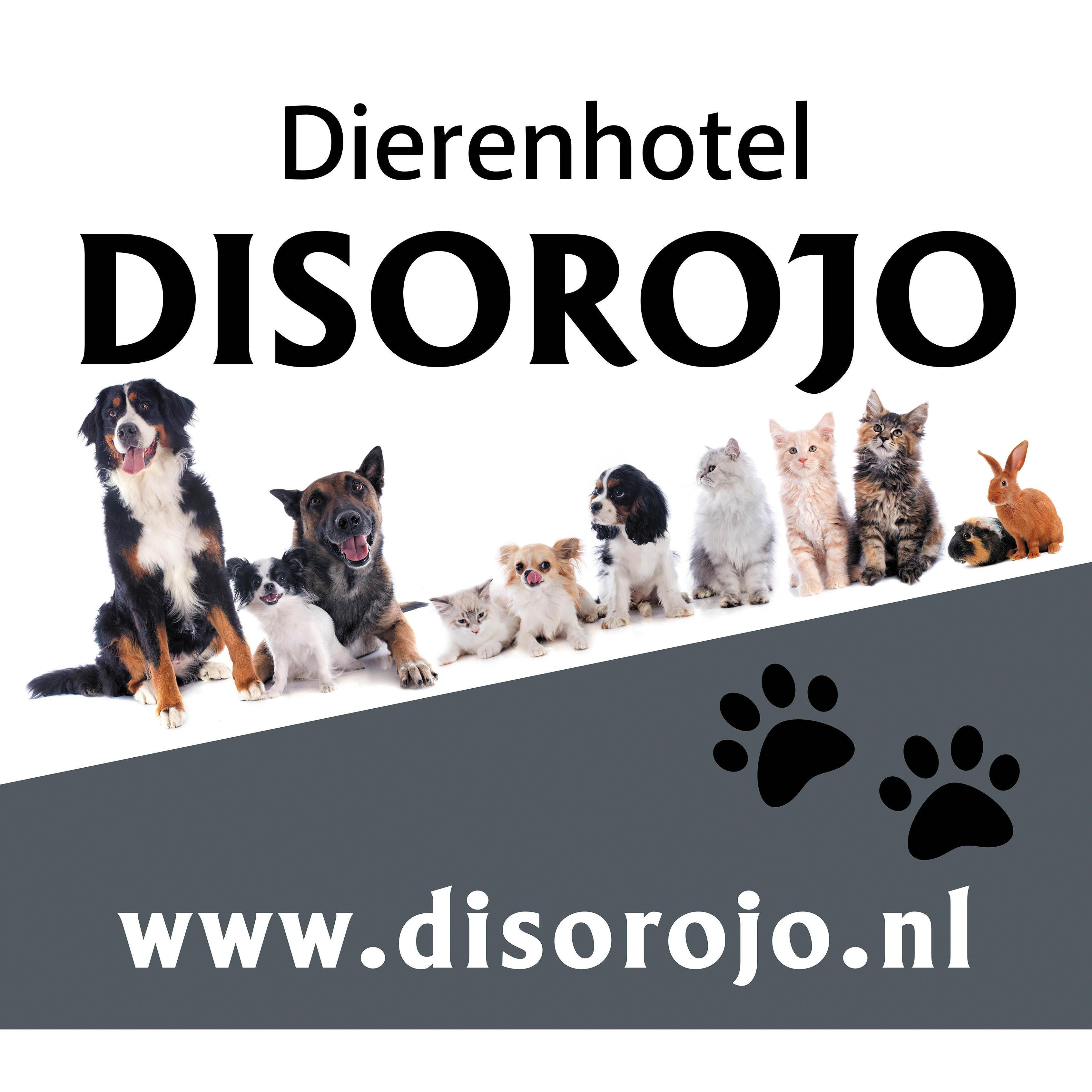 Dierenhotel Disorojo