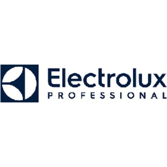 Electrolux Professional AB (Publ)