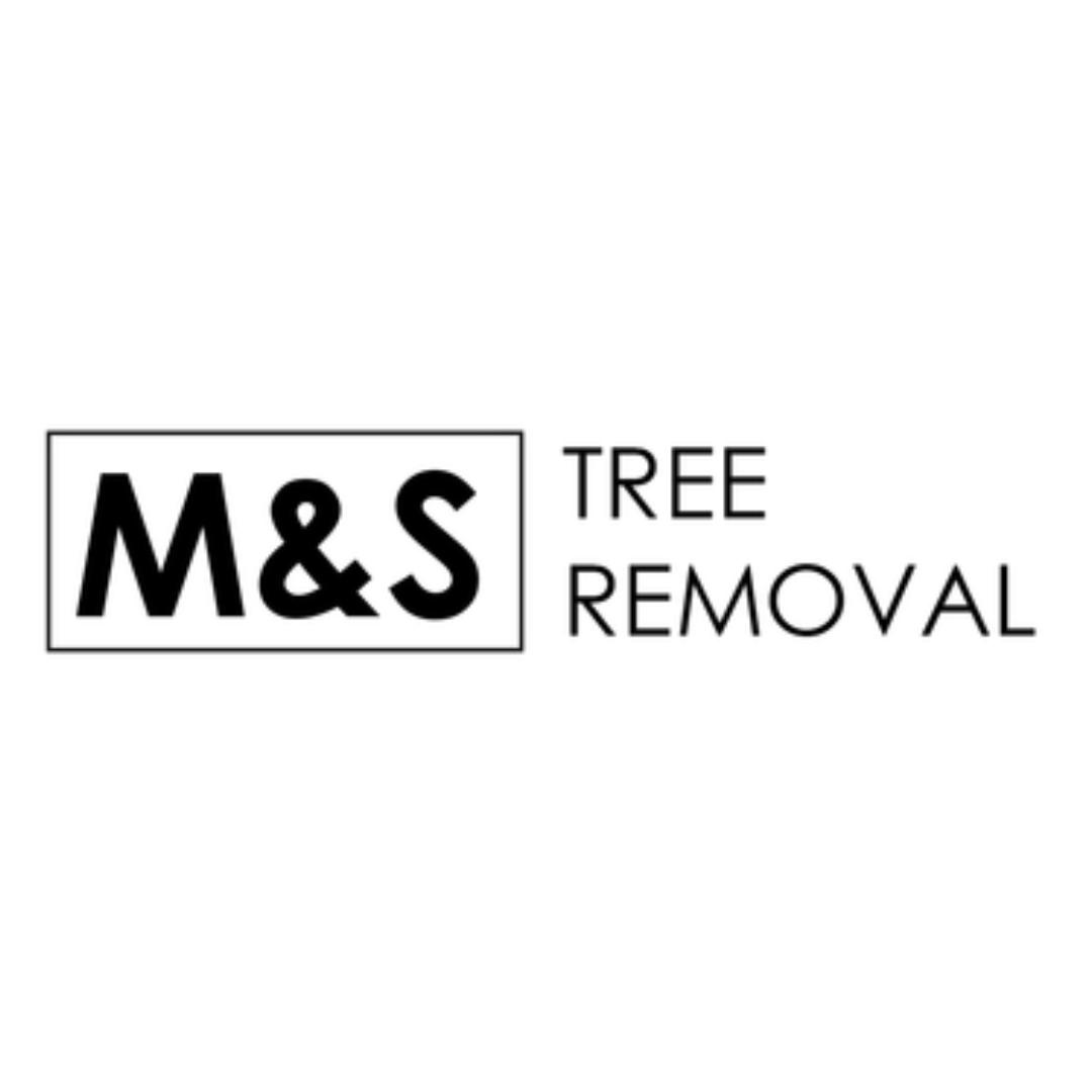 M&S Tree Removal
