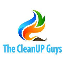 The CleanUP Guys