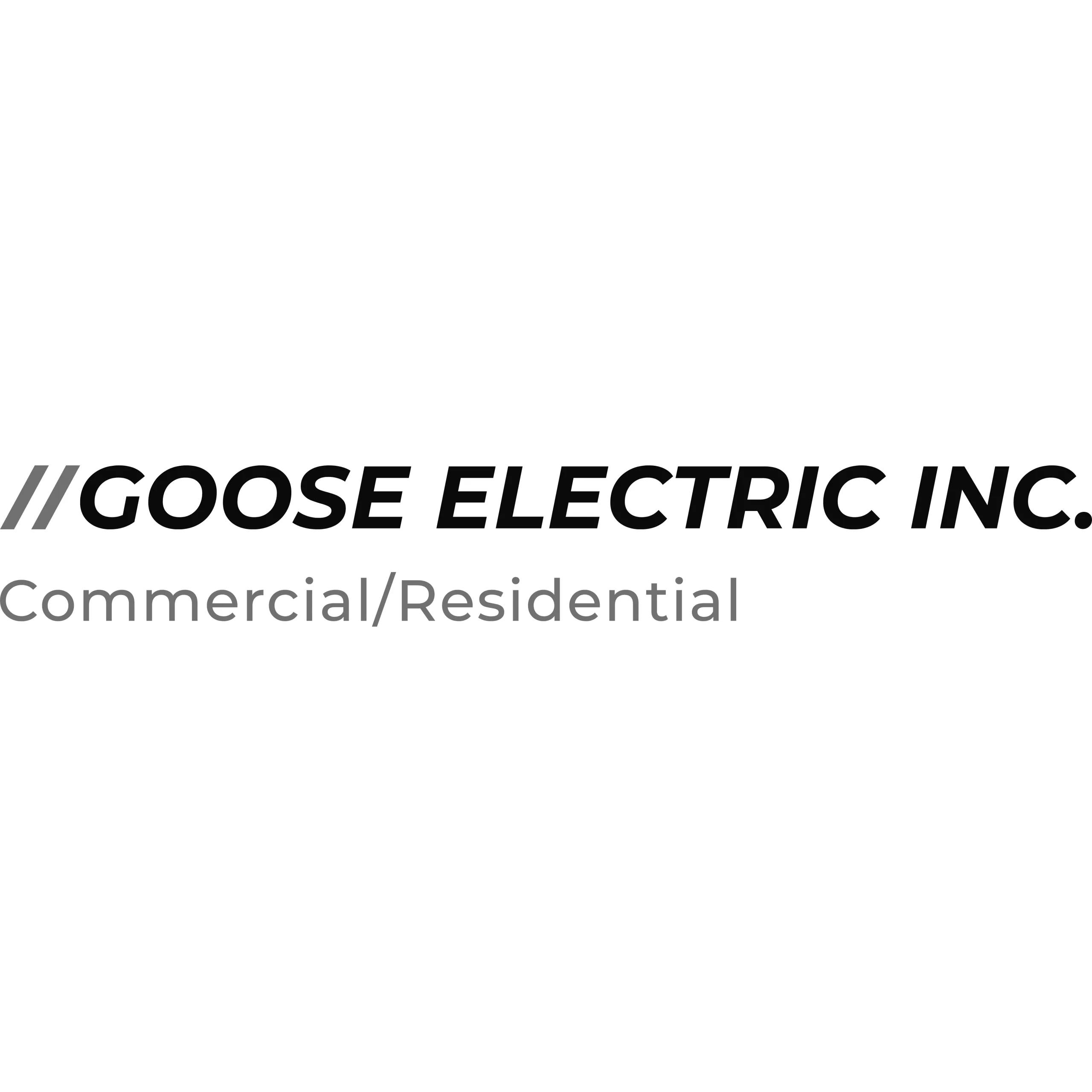 Goose Electric