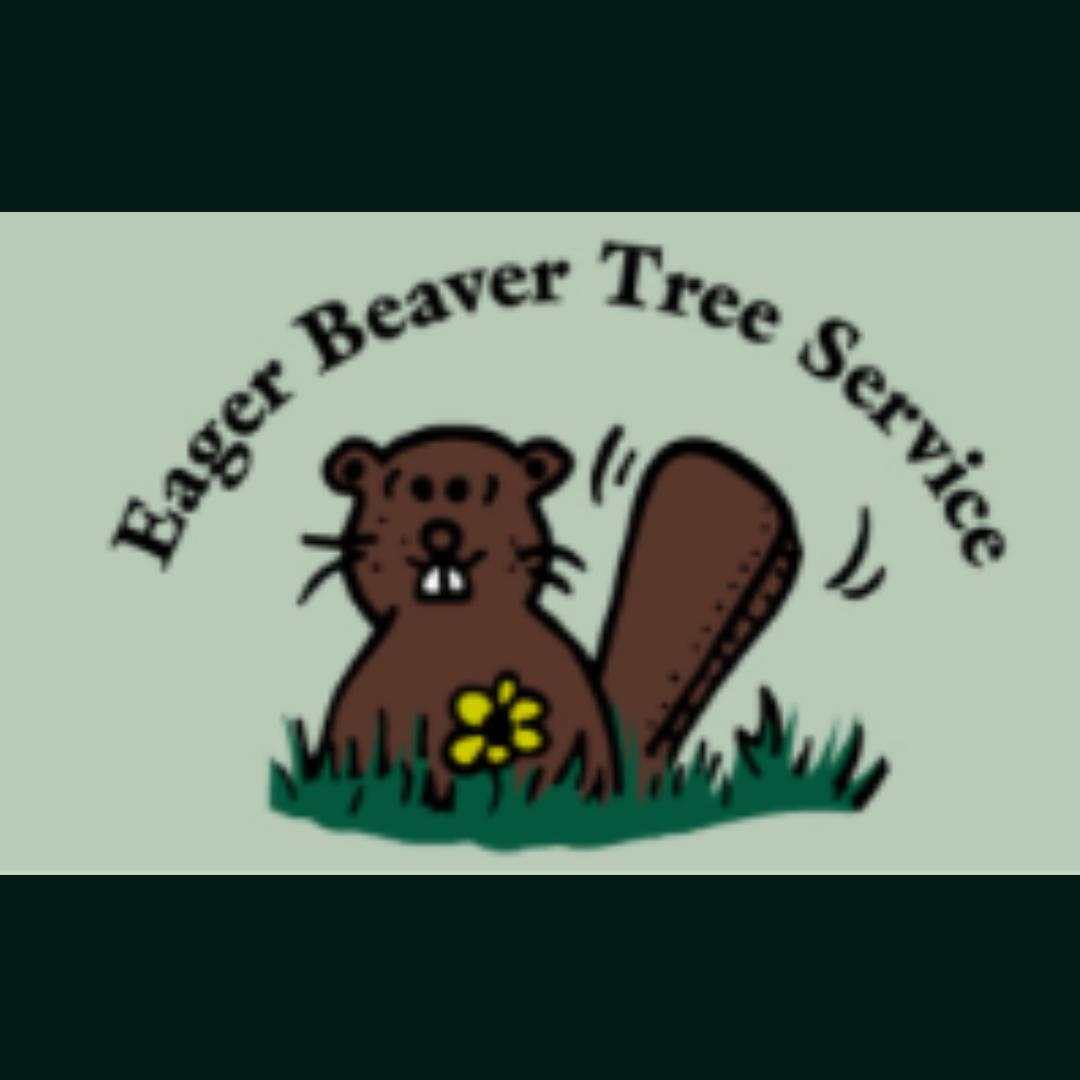 Eager Beaver Tree Service