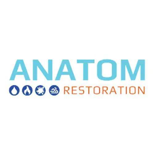 Anatom Restoration