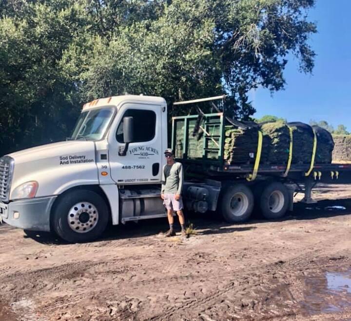 Young Acres Sod Inc