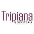 Floristería Tripiana