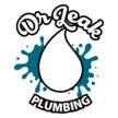Dr Leak Plumbing LLC