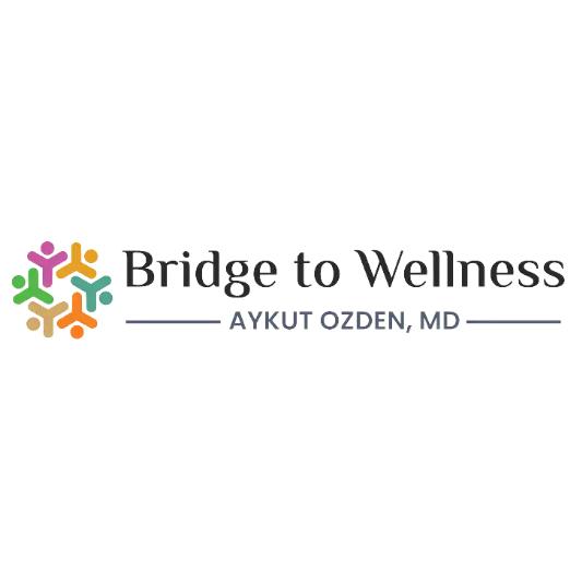 Bridge to Wellness