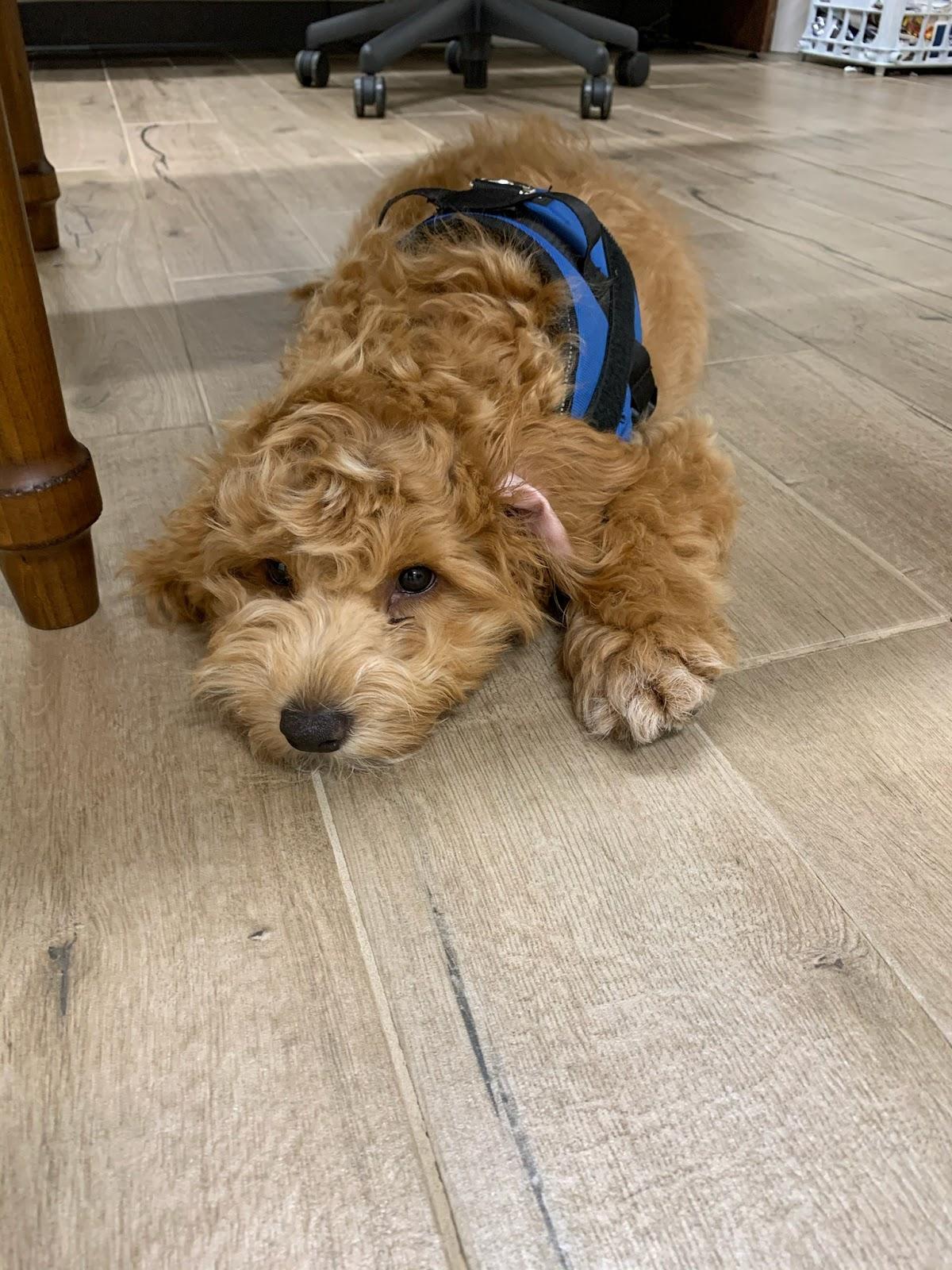 Jack Wallace - State Farm Insurance Agent