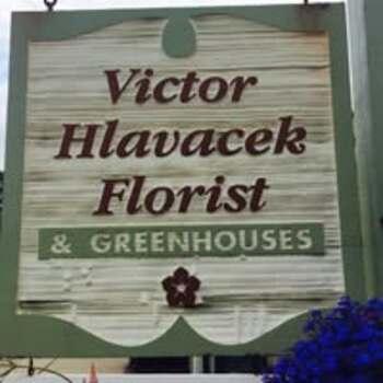 Hlavacek Victor Florist And Greenhouses