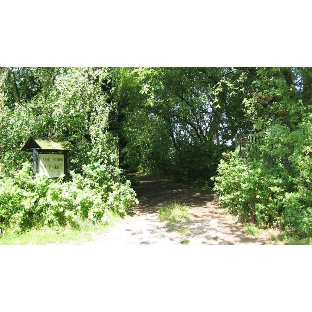 `t Heike Dierenpension