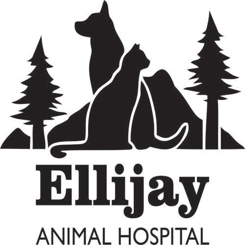 Ellijay Animal Hospital