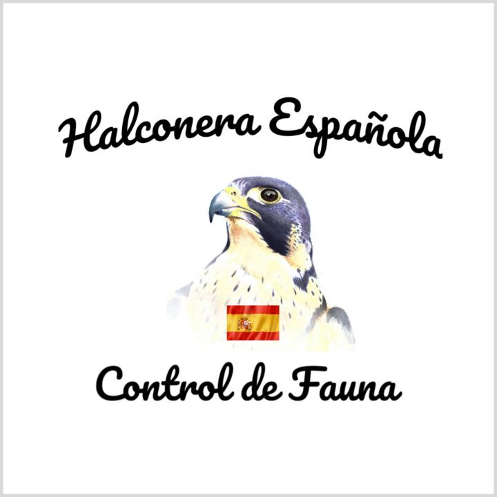 Halconera Española - Control De Fauna