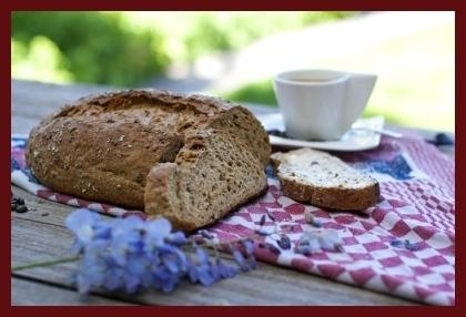 Ambachtsbakker Nieuwenhuis