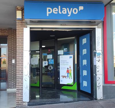 Oficina Seguros Pelayo