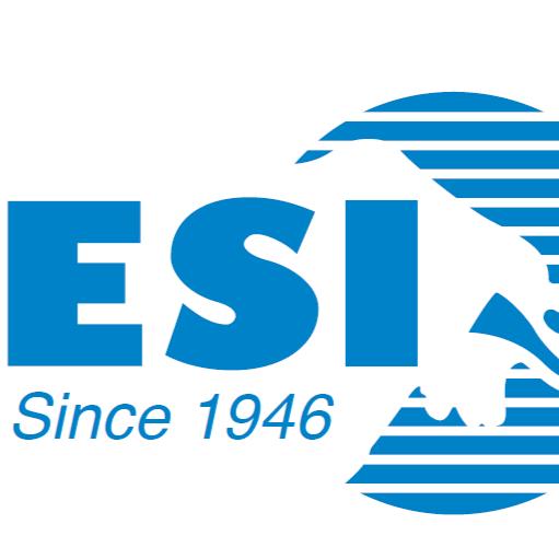 Eichenauer Services Inc