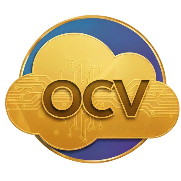 Salesforce Platform Support