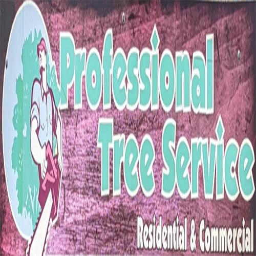 Professional Tree Service