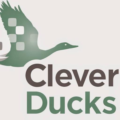 Clever Ducks