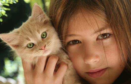 SpayXperts PLUS, Affordable Vet Care