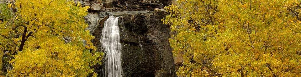 Specialty Properties. David Peterson, REALTOR