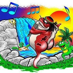 Tampa Bay Ponds & Rocks