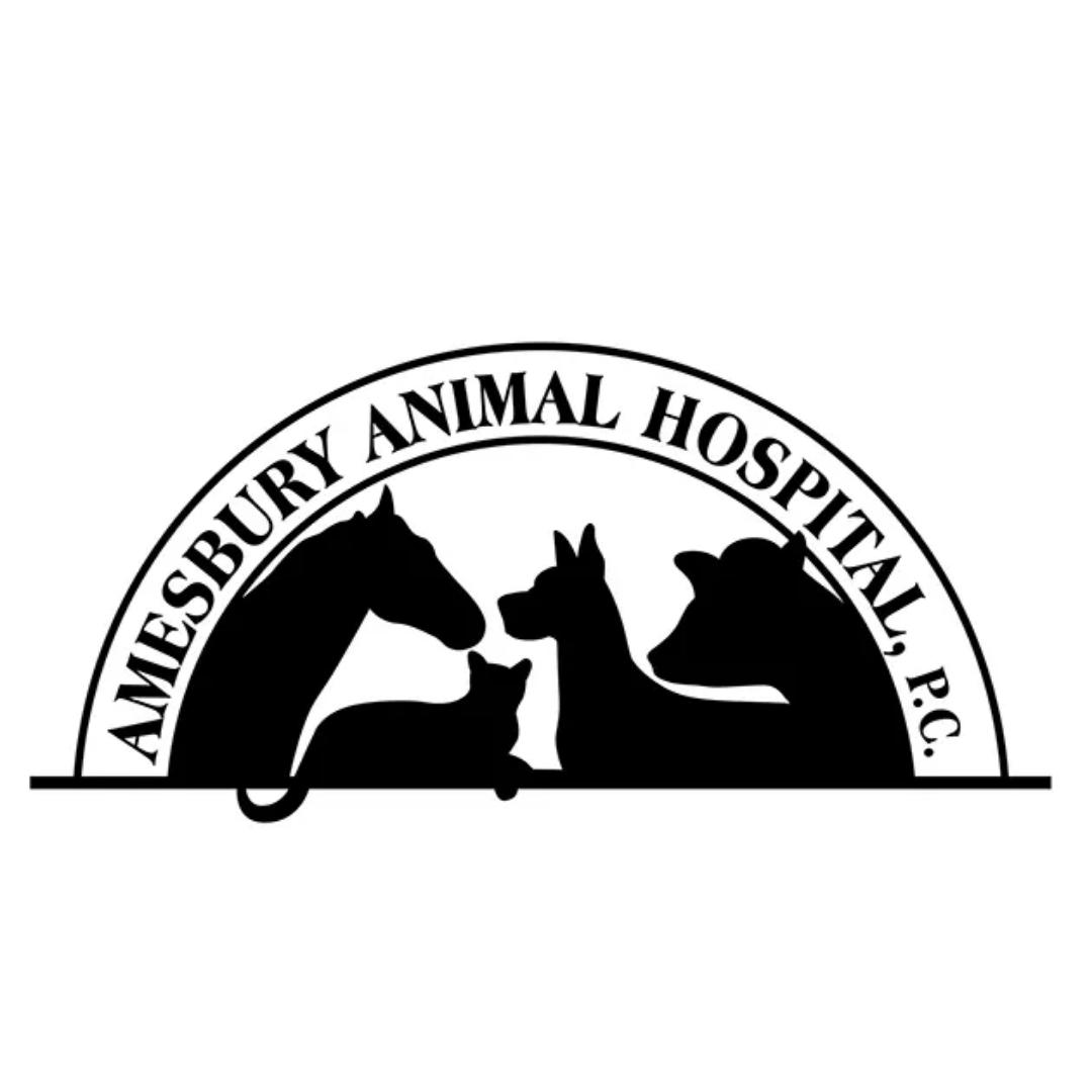Amesbury Animal Hospital