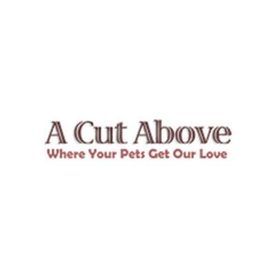 A Cut Above