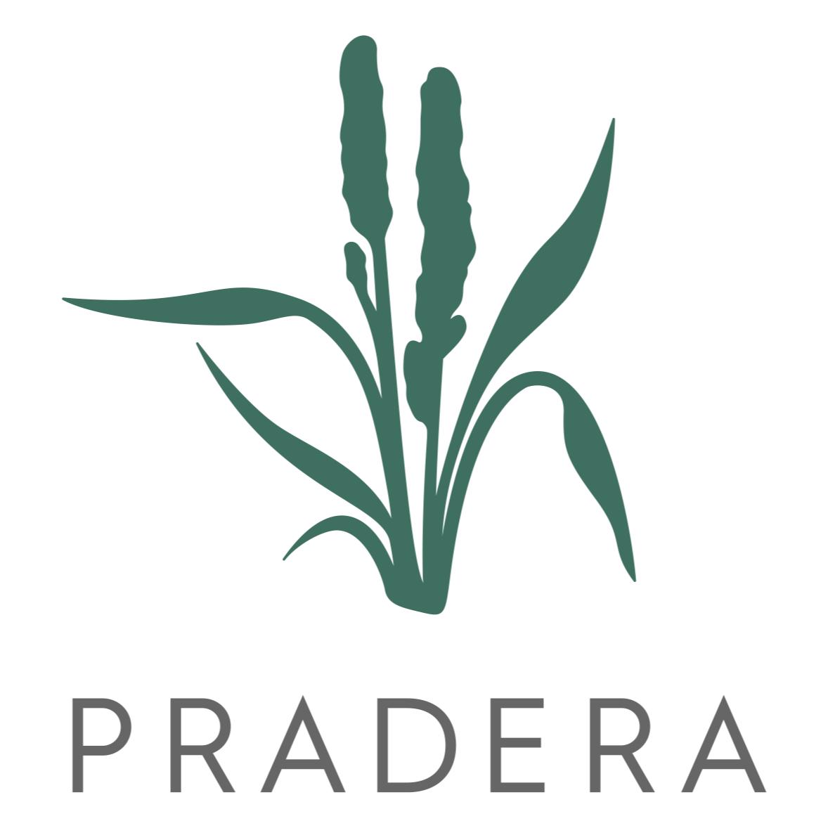 Pradera