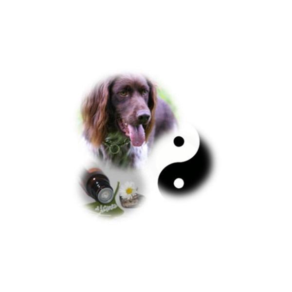 Tierarztpraxis Gratwein-Straßengel OG