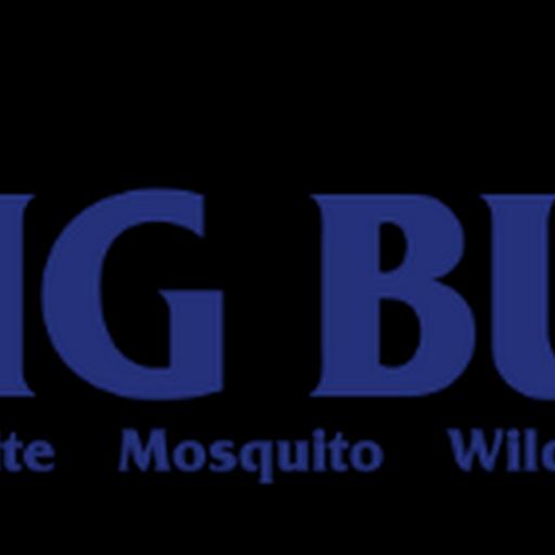 Bug Busters, Inc.