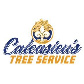 Calcasieu's Tree Service