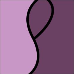 SP Plastic Surgery, LLC