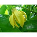 Kradanga Thaimassage