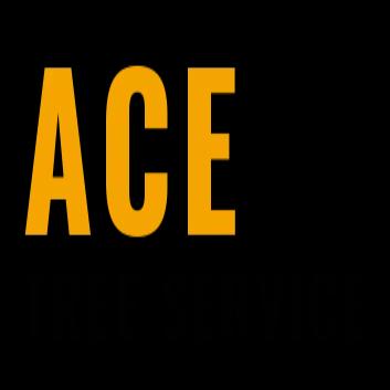 Ace Tree Service