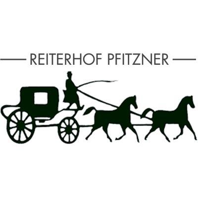 Reiterhof Pfitzner GbR