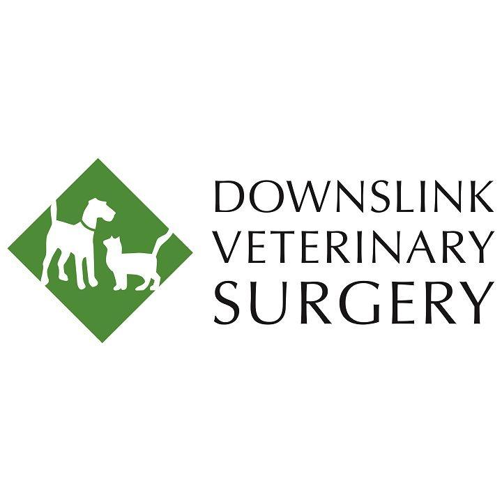 Downs Link Veterinary Surgery