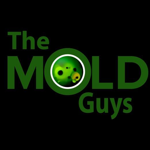 The Mold Guys