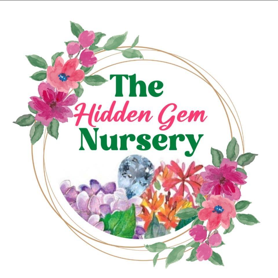 The Nursery - The Hidden Gem