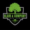 Blair and Company Tree Care