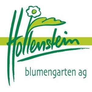 hollenstein blumengarten ag-Blumenshop-Gärtnerei-Gartenbau-Unterhalt-Grabpflege