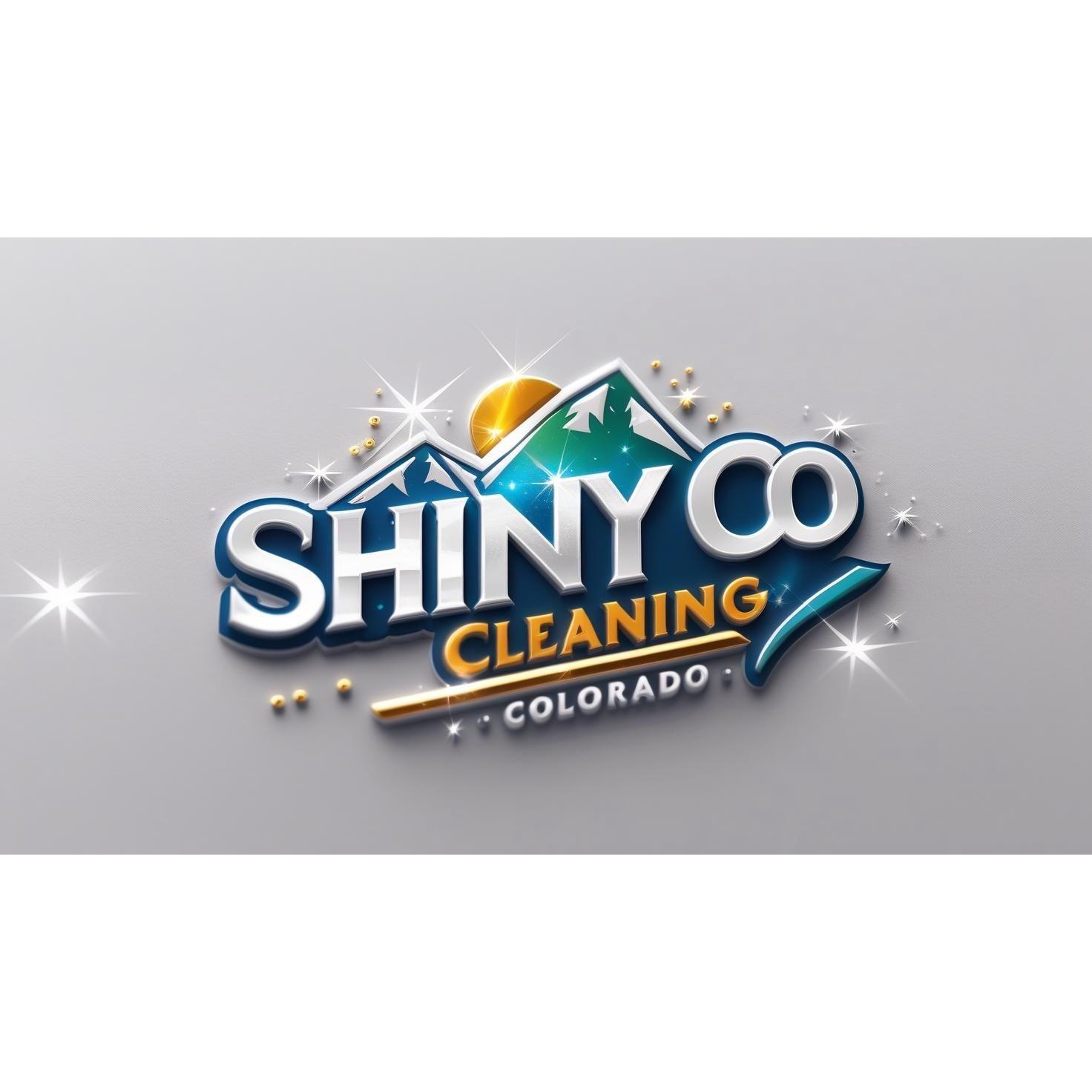 Shiny Co Cleaning