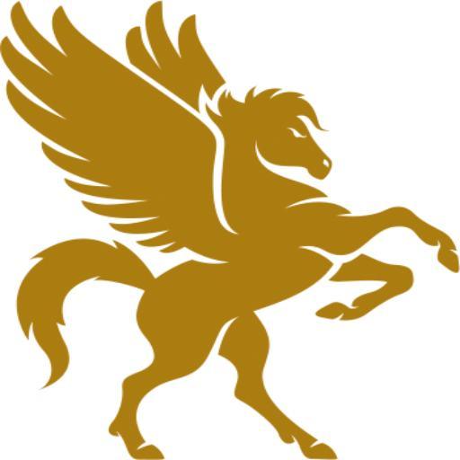 von Pegasus | Goldankauf & Edelmetallhandel Schwerin