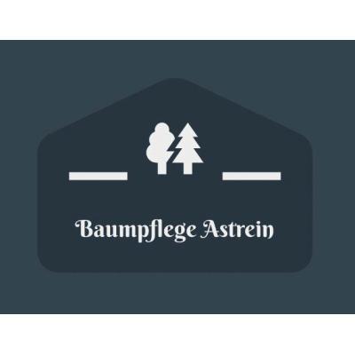 Baumpflege Astrein