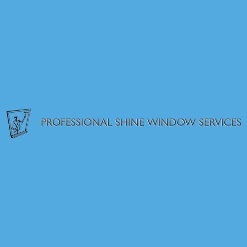 Professional Shine Window Services