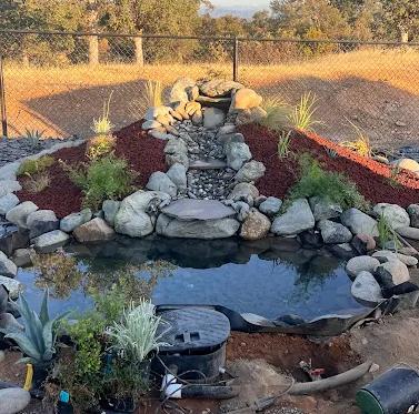 Early Bird's Landscaping