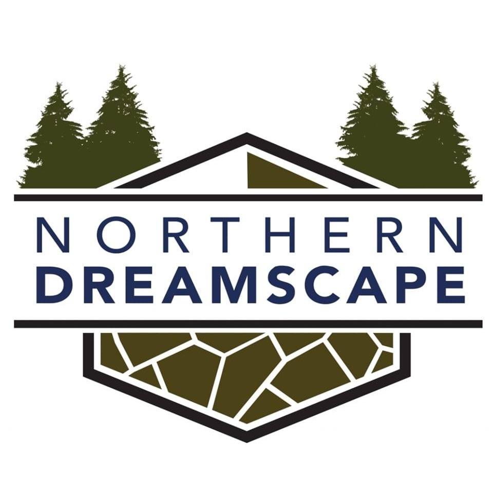 Northern Dreamscape