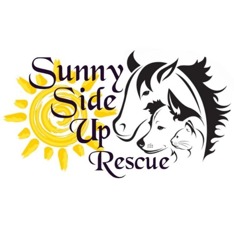 Sunny Side Up Rescue