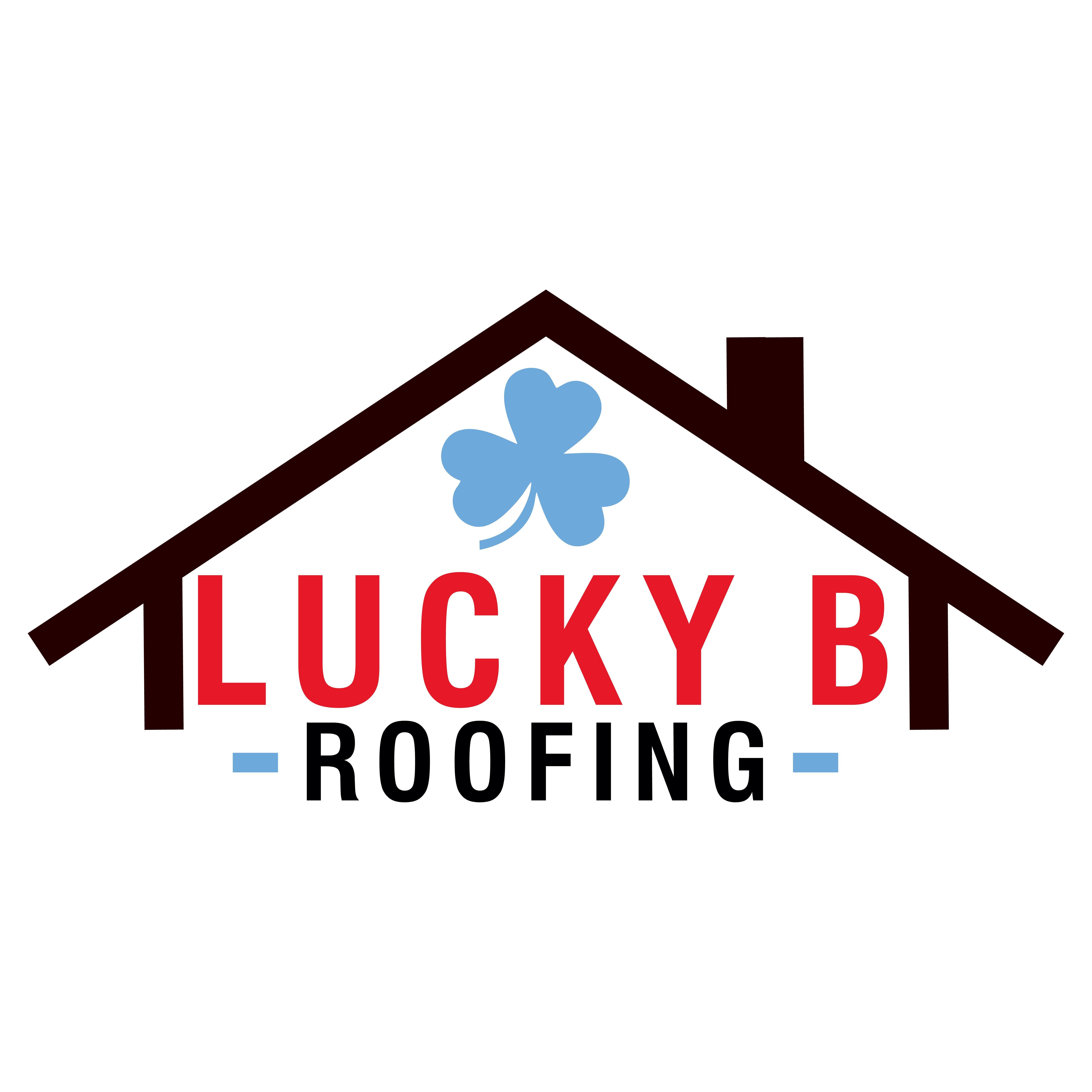 Lucky B Roofing