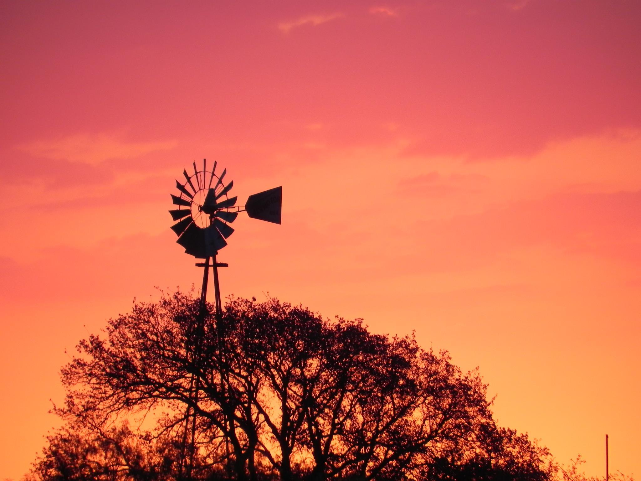 Thomas Water Well Service